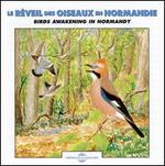 Birds Awakening in Normandie