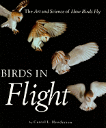 Birds in Flight: The Art and Science of How Birds Fly