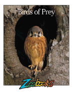 Birds of Prey
