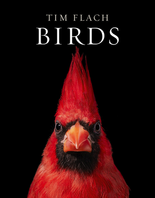 Birds: Photographs - Flach, Tim, and Prum, Richard O (Text by)