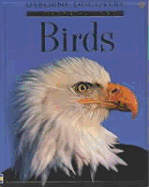 Birds - Doherty, Gillian