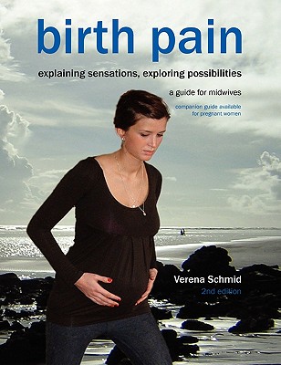 Birth Pain: Explaining Sensations, Exploring Possibilities - Schmid, Verena, and Donna, Sylvie (Translated by)