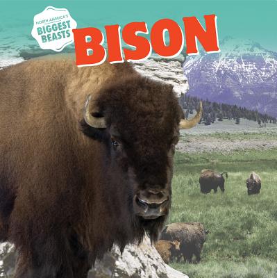 Bison - Anthony, David
