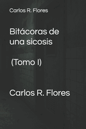 Bit�coras de una sicosis
