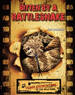 Bitten by a Rattlesnake