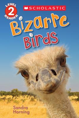 Bizarre Birds - Horning, Sandra