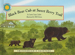 Black Bear Cub at Sweet Berry Trail