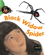 Black Widow Spider