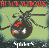 Black Widow Spiders