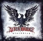 Blackbird