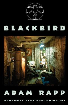 Blackbird - Rapp, Adam