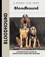 Bloodhound
