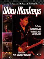 Blow Monkeys: Live in London