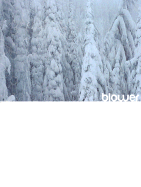 Blower: Snowboarding Inside Out
