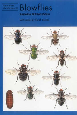 Blowflies - Erzinclioglu, Zakaria