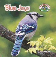 Blue Jays