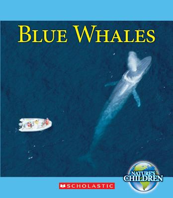 Blue Whales - Bjorklund, Ruth