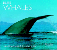 Blue Whales
