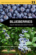 Blueberries