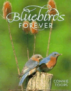 Bluebirds Forever