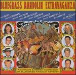 Bluegrass Mandolin Extravaganza