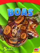 Boas