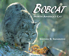 Bobcat