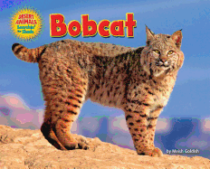 Bobcat