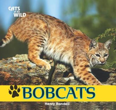 Bobcats - Randall, Henry