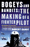 Bogeys and Bandits: The Making of a Fighter Pilot