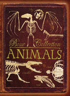 Bone Collection: Animals