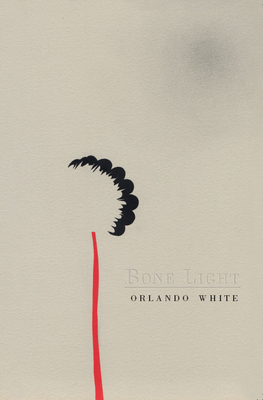 Bone Light - White, Orlando