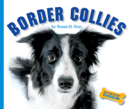 Border Collies - Gray, Susan H