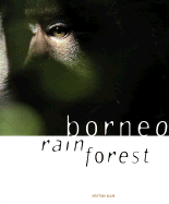 Borneo Rainforest - 