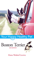 Boston Terrier