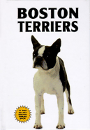 Boston Terriers