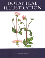 Botanical Illustration