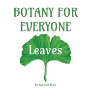 Botany for Everyone: Leaves