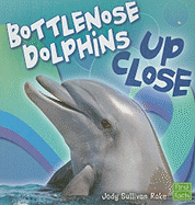 Bottlenose Dolphin Up Close
