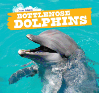 Bottlenose Dolphins