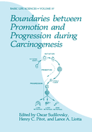 Boundaries between promotion and progression during carcinogenesis