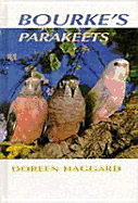 Bourke's Parakeets