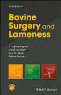 Bovine Surgery and Lameness