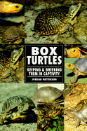Box Turtles the Real Thing