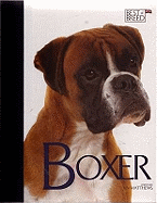 Boxer