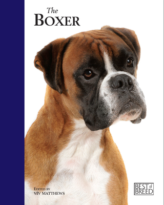 Boxer - Matthews, Viv