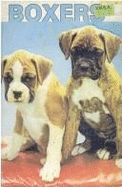 Boxers