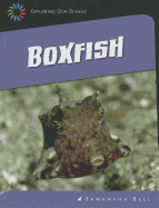 Boxfish