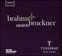 Brahms, Bruckner: Motets - Alexander Mason (organ); Clare Wilkinson (alto); Elizabeth Drury (soprano); Geoff Clapham (bass); Greg Skidmore (bass);...