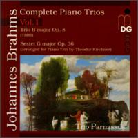 Brahms: Complete Piano Trios, Vol. 1 - Chia Chou (piano); Michael Gross (cello); Trio Parnassus; Wolf-Dieter Streicher (violin)
